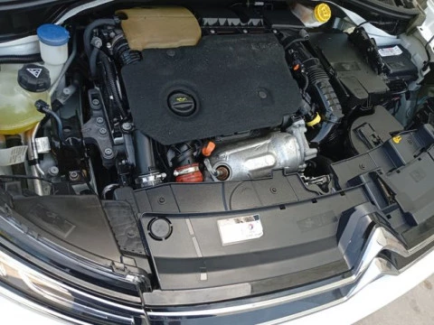Citroën C4 Cactus BlueHDi 100 S&S C-Series