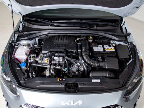 Kia Ceed 1.0 T-GDi 88kW (120CV) Drive