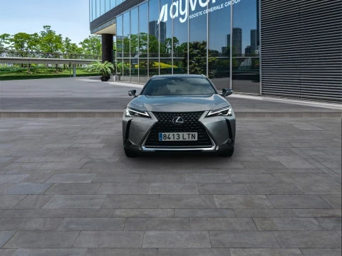 Lexus UX 2.0 250h Business