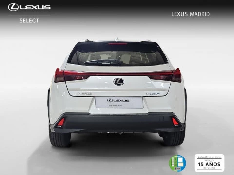 Lexus UX 2.0 250h Business