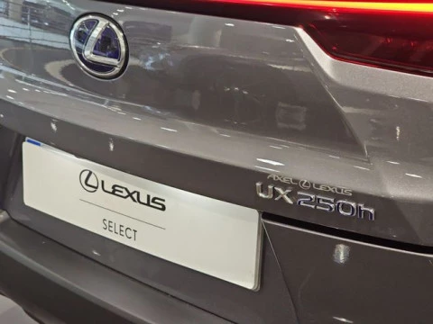 Lexus UX 2.0 250h Business