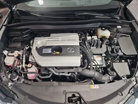 Lexus UX 2.0 250h Business