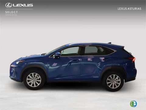 Lexus NX SUV BUSINESS 2.5 Híbrido Gasolina (197CV) Transmis