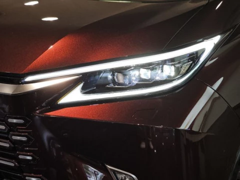 Lexus LM 350h Luxury Light Beige 6 plazas