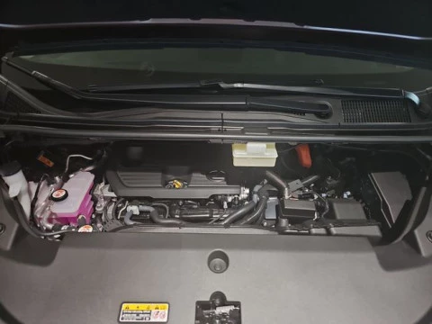 Lexus LM 350h Luxury Light Beige 6 plazas