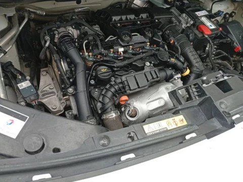 Citroën Berlingo Talla M BlueHDi 100 CONTROL