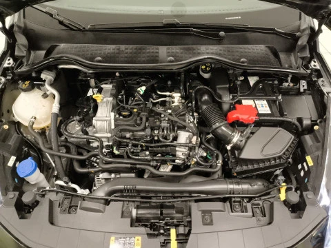 Ford Fiesta 1.0 EcoBoost MHEV ST-Line 92 kW (125 CV)