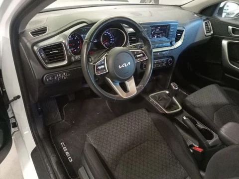 Kia Ceed 1.6 MHEV iMT 100kW (136CV) Concept