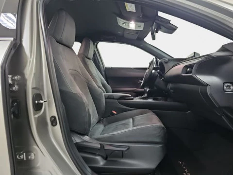 Lexus UX 2.0 250h Premium