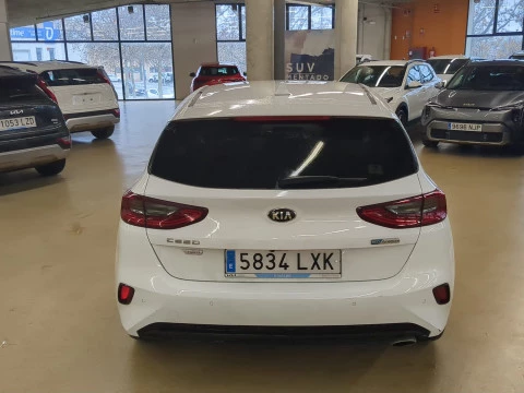 Kia Ceed 1.5 MHEV 118kW (160CV) Tech DCT