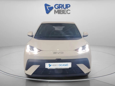 BYD DOLPHIN SURF BEV 43KWH BOOST 88 5P