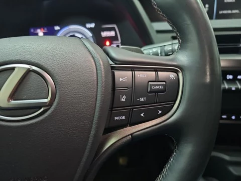Lexus UX 300e Executive