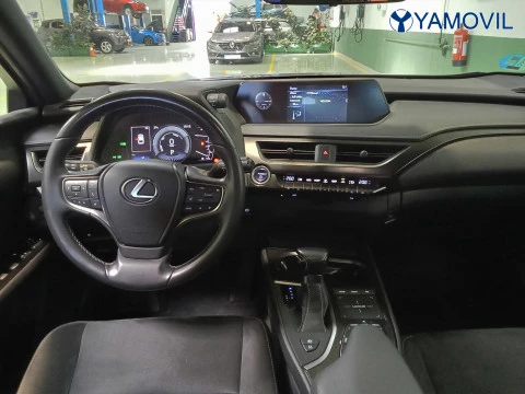 Lexus UX 250h Business 2WD 135 kW (184 CV)