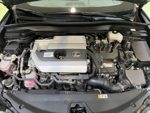 Lexus UX 250h Business 2WD 135 kW (184 CV)