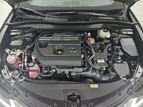 Lexus UX 2.0 300h UX Plus