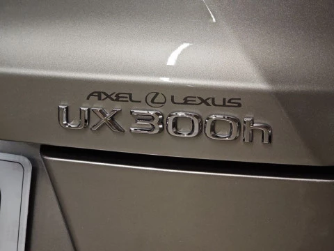Lexus UX 2.0 300h UX Plus