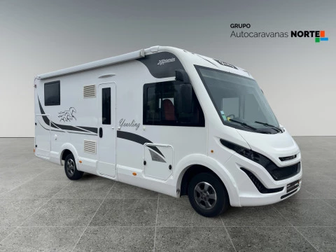 MCLOUIS NESS 80 NESS 80 YEARLING 20 ANIVERSARIO