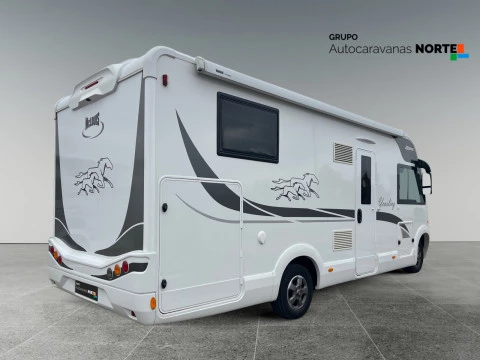 MCLOUIS NESS 80 NESS 80 YEARLING 20 ANIVERSARIO