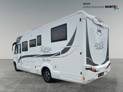 MCLOUIS NESS 80 NESS 80 YEARLING 20 ANIVERSARIO