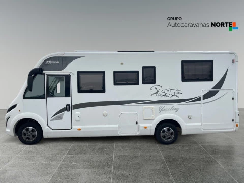 MCLOUIS NESS 80 NESS 80 YEARLING 20 ANIVERSARIO