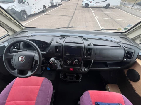 MCLOUIS NESS 80 NESS 80 YEARLING 20 ANIVERSARIO