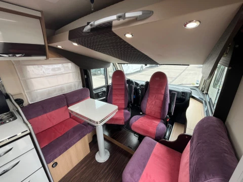 MCLOUIS NESS 80 NESS 80 YEARLING 20 ANIVERSARIO