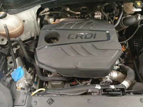 Kia Sportage 1.6 CRDi MHEV 100kW (136CV) Business 4x4