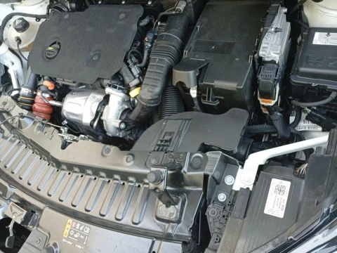 Opel Crossland 1.5D 88kW (120CV) Business Elegance Auto