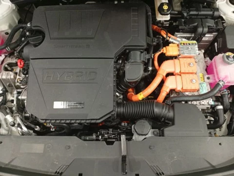 Kia Niro 1.6 GDi HEV 104kW (141CV) Drive
