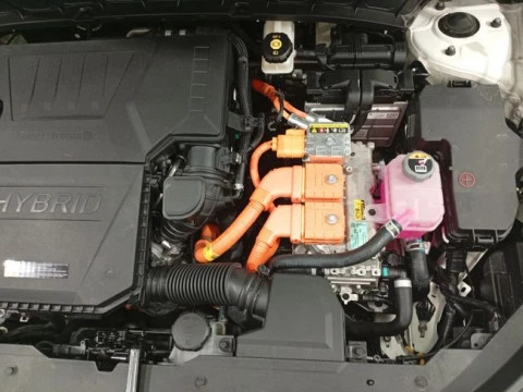 Kia Niro 1.6 GDi HEV 104kW (141CV) Drive