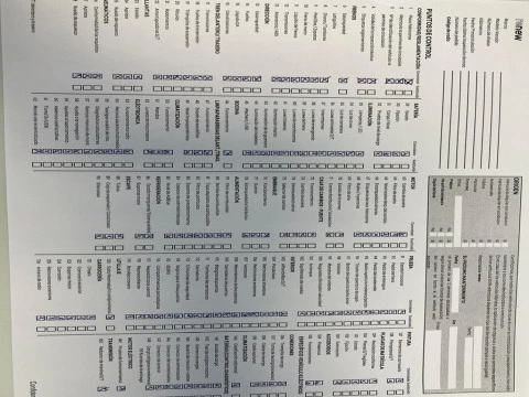 Renault R5 E-Tech Renault 5 E-Tech Iconic cinq autonomia confort 110 kW