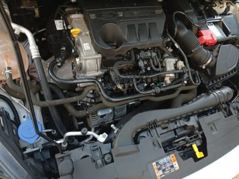 Ford Fiesta 1.0 EcoBoost MHEV 92kW (125CV) Trend 5p