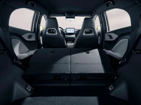 BYD DOLPHIN SURF Active