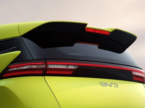 BYD DOLPHIN SURF Active