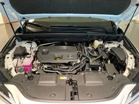 Lexus NX 350h Premium 2WD