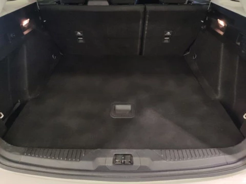 Ford Focus 1.0 Ecoboost MHEV 92kW Active SB