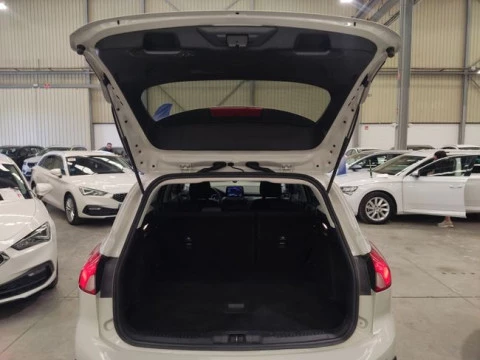 Ford Focus 1.0 Ecoboost MHEV 92kW Active SB