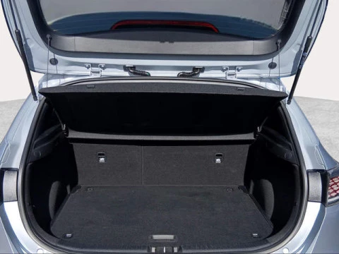 Kia Ceed 1.0 T-GDi Style Edition 74 kW (100 CV)