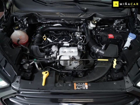 Ford Ecosport 1.0T EcoBoost S&S ST Line 92 kW (125 CV)