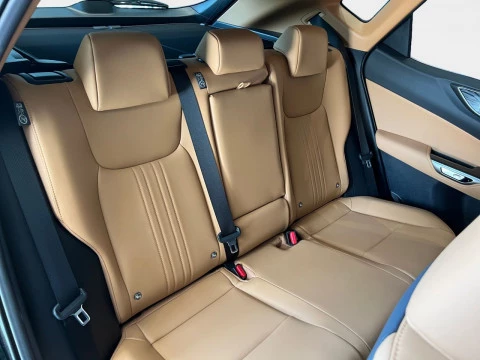 Lexus NX 450h+ Premium+ 4WD