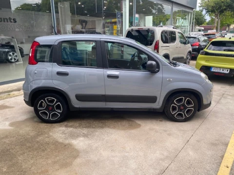 Fiat Panda Cross 1.0 Gse 51kw (70CV)