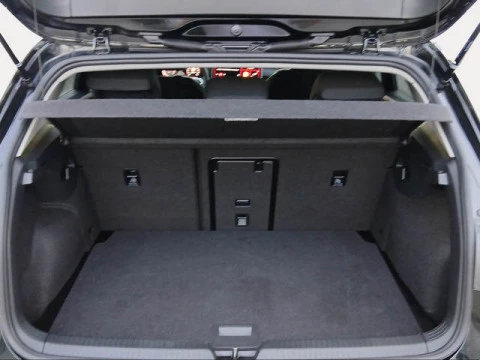 Volkswagen Golf Mas 2.0 TDI 85 kW (115 CV)