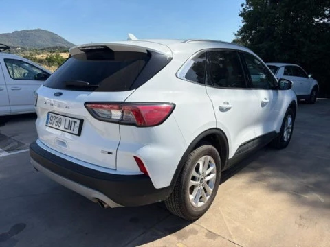 Ford Kuga Titanium 2.0 EcoBlue MHEV 110kW (150CV)
