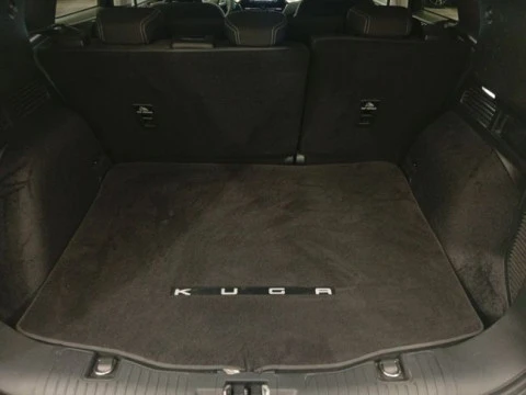 Ford Kuga Titanium 2.0 EcoBlue MHEV 110kW (150CV)