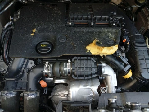 Peugeot Partner Pro Standard 600kg BlueHDi 73kW