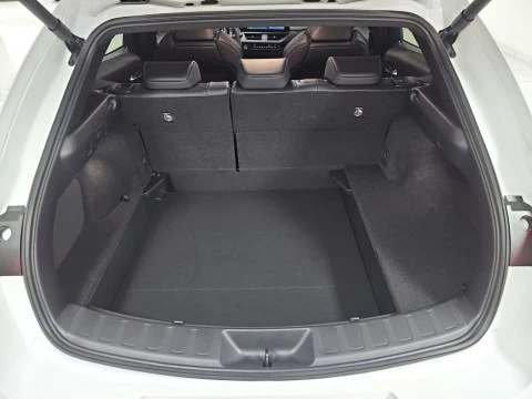 Lexus UX 2.0 300h F Sport Plus