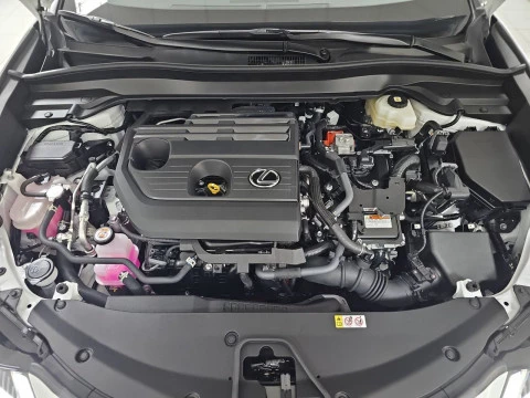 Lexus UX 2.0 300h F Sport Plus