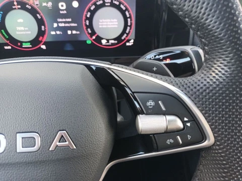 Skoda Kodiaq  Sportline 1,5 TSI iV 150 kW (204 CV) DSG 6 vel.