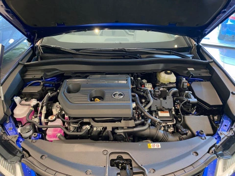 Lexus UX 2.0 300h F Sport