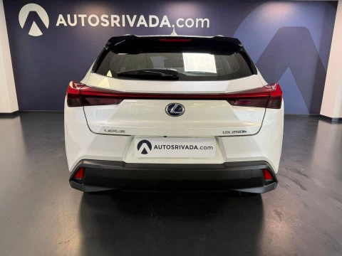 Lexus UX 2.0 250h Business